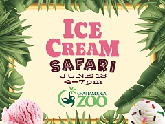 Ice Cream Safari