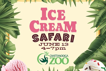 Image: Ice Cream Safari