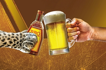 Image: Q ‘n Brew