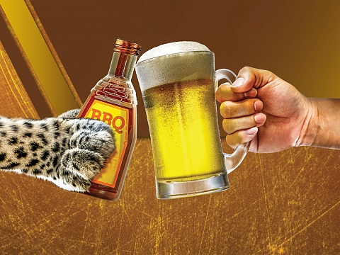 Image: Q ‘n Brew