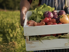 CSA to Sauté