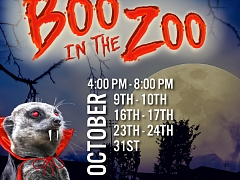 Boo in the Zoo