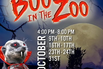 Image: Boo in the Zoo