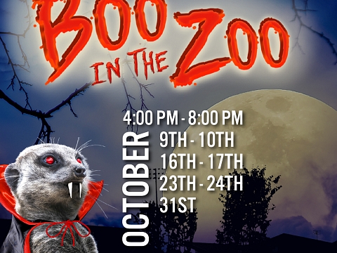 Image: Boo in the Zoo