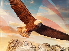 America the Beautiful – Special Limited Engagement