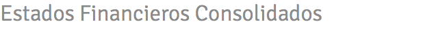 Estados Financieros Consolidados