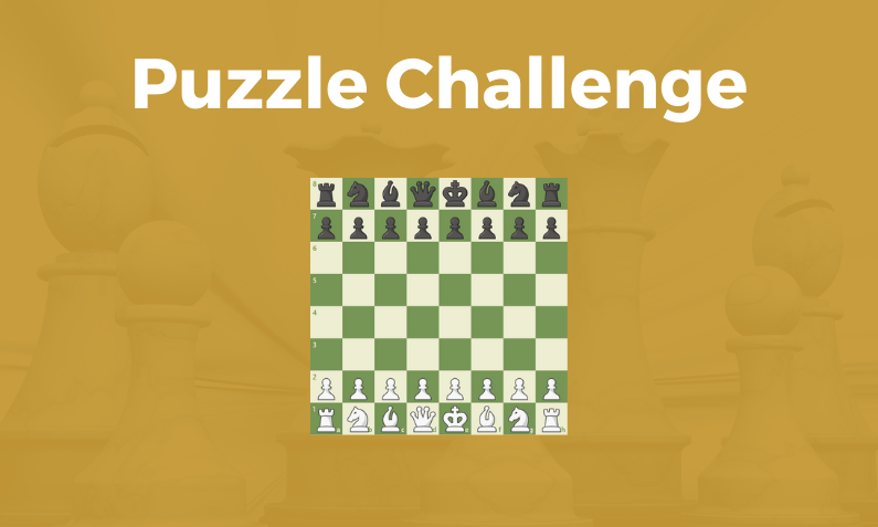 Puzzle Challenge #82