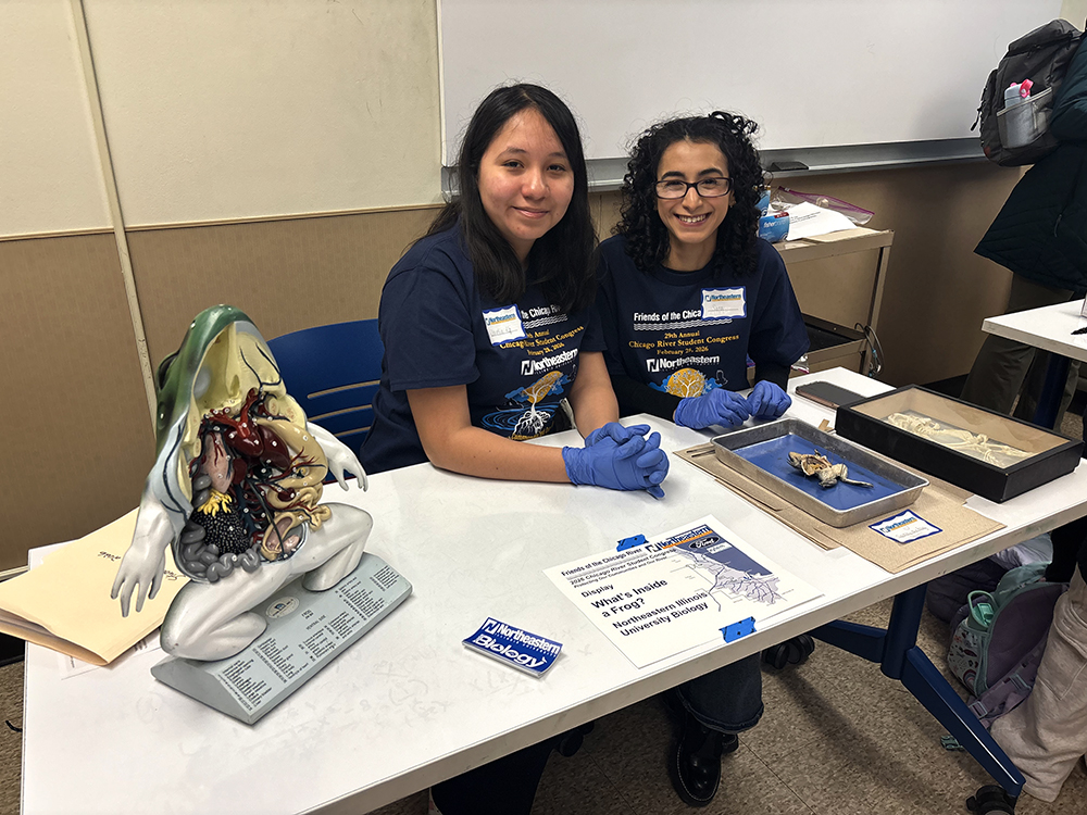 Student Congress - Chicago River Schools Network - Education and ...