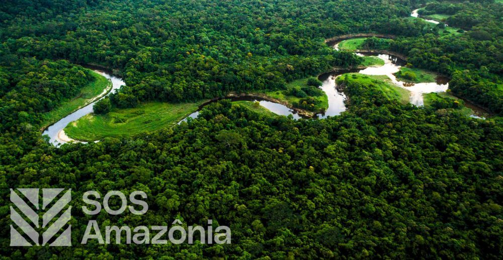 Dia da Amazônia: Chico Rei + SOS Amazônia
