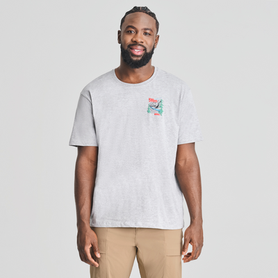 Parc national - t-shirt en coton biologique gris chiné pour  homme