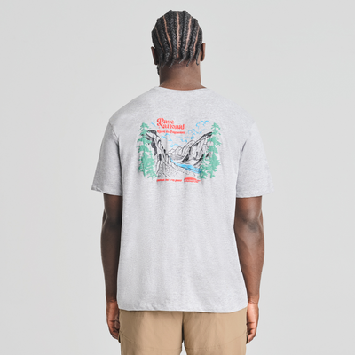 Parc national - t-shirt en coton biologique gris chiné pour  homme
