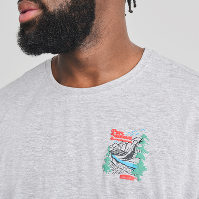 Parc national - t-shirt en coton biologique gris chiné pour  homme