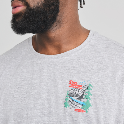 Parc national - t-shirt en coton biologique gris chiné pour  homme