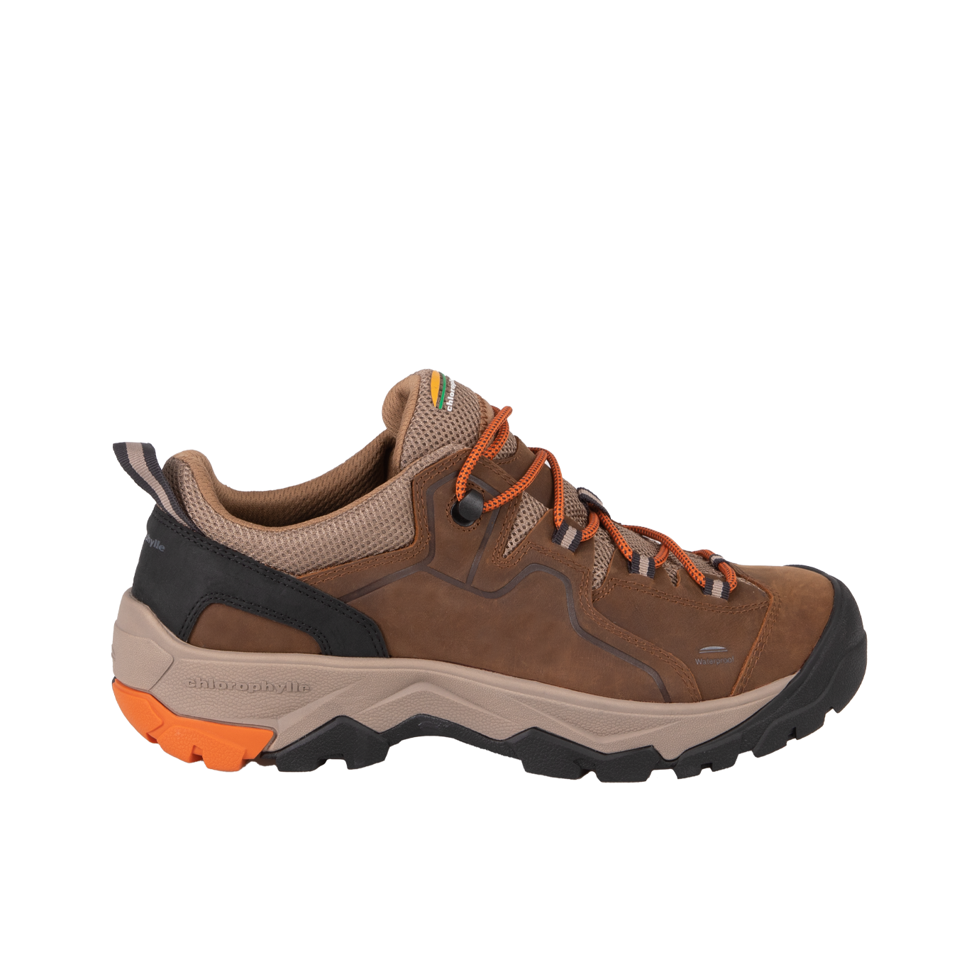 Souliers de randonnée Albali pour homme de couleur brune