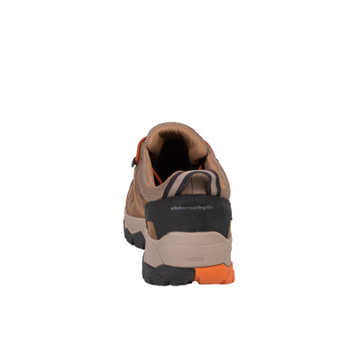 Souliers de randonnée Albali pour homme de couleur brune