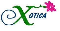 exotica florist