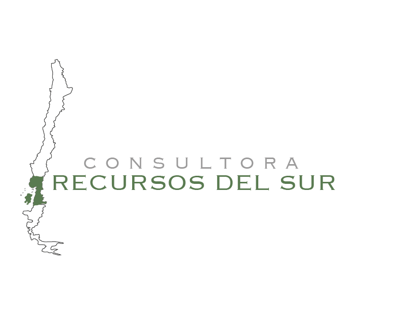 Consultora Recursos del Sur