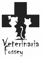 Veterinaria Fossey Maipú