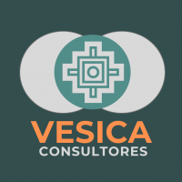 Vesica Consultores