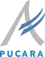 Pucará S.A