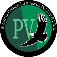 PAMELA VIDAL ASESORIA COMERCIAL Y ASEOS DEL SUR E.I.R.L