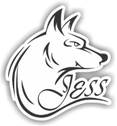 Soluciones JESS SpA