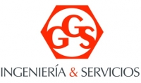 Ingeniería y Servicios GGS Ltda.