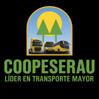 SERVICIOS INRTEGRALES FULL MOTOR SPA