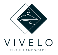 Vivelo Elqui Landscape