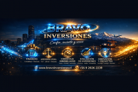 Bravo Inversiones
