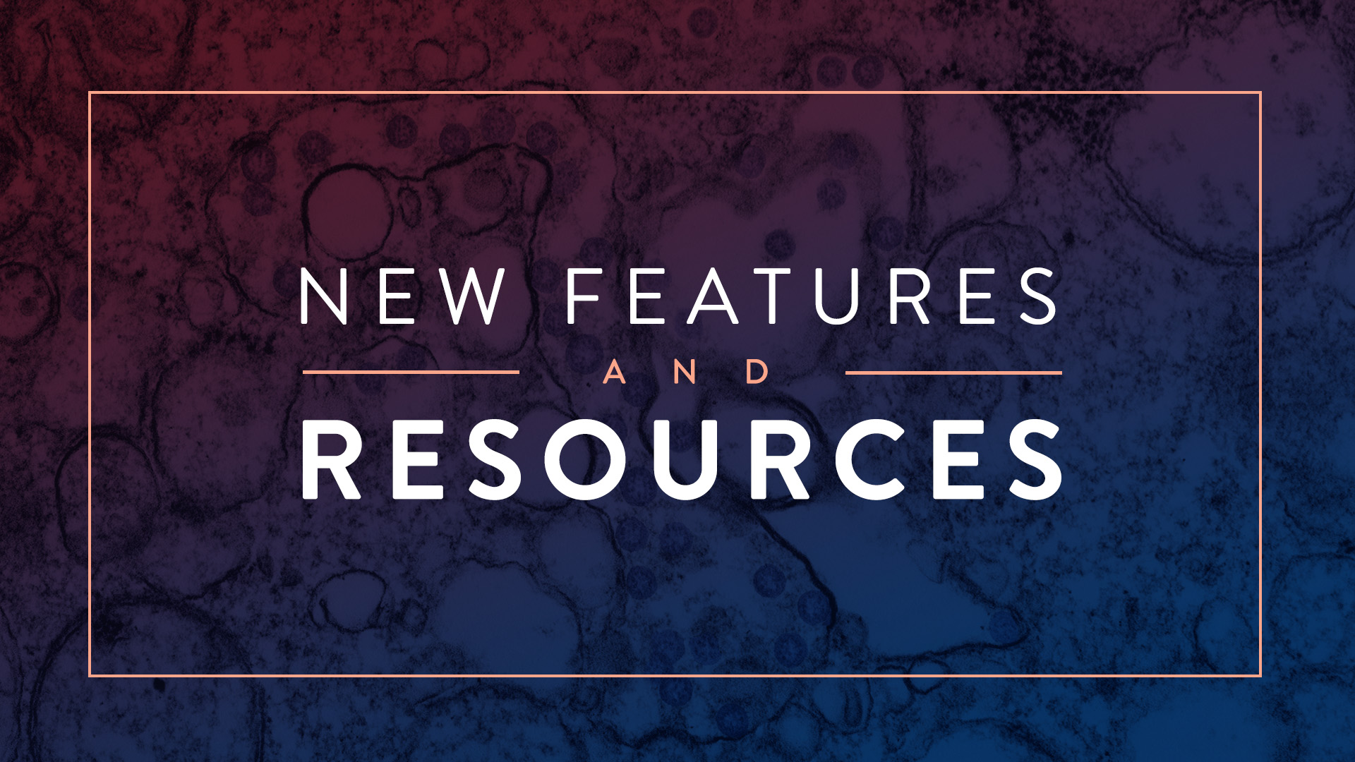 Church Plant Media Websites For Church Mission What We re Doing To 