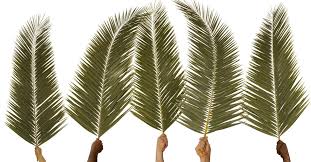 palmsunday