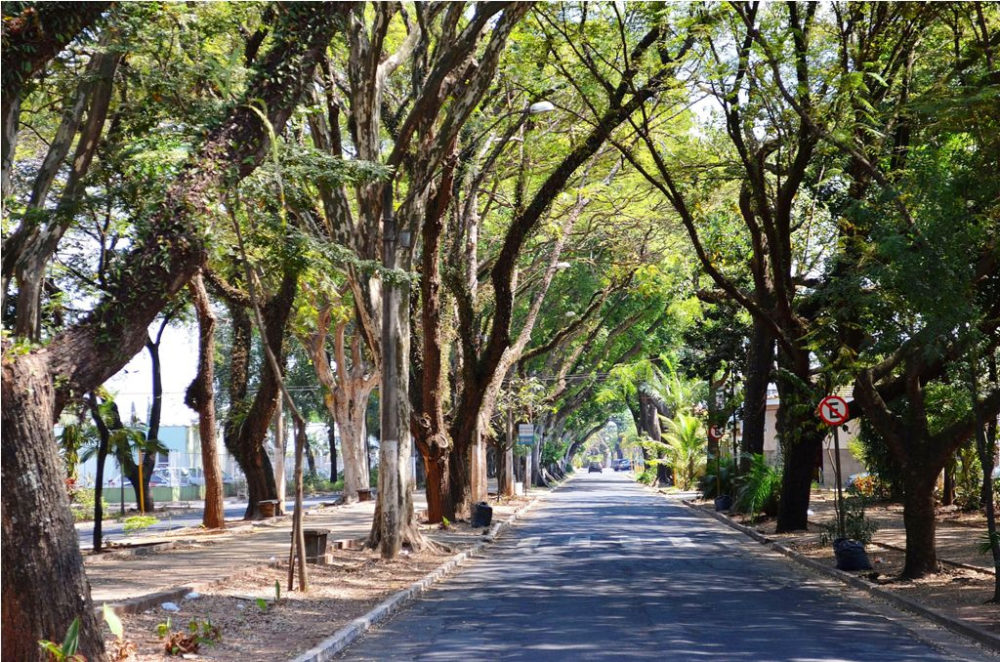 Avenida da Saudade fica interditada neste domingo Cidade Azul Notícias