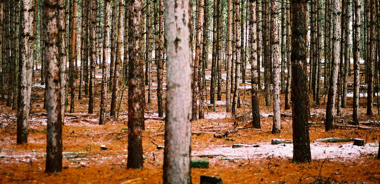 Consistency - How to Build Brand on Instagram