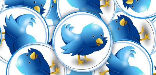 Twitter-Birds