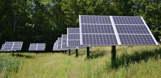 Sustainable-Business