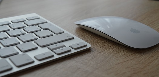 mouse-utm-codes