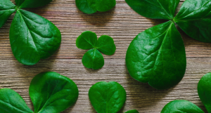 6 Tips for Marketers on St. Patrick’s Day