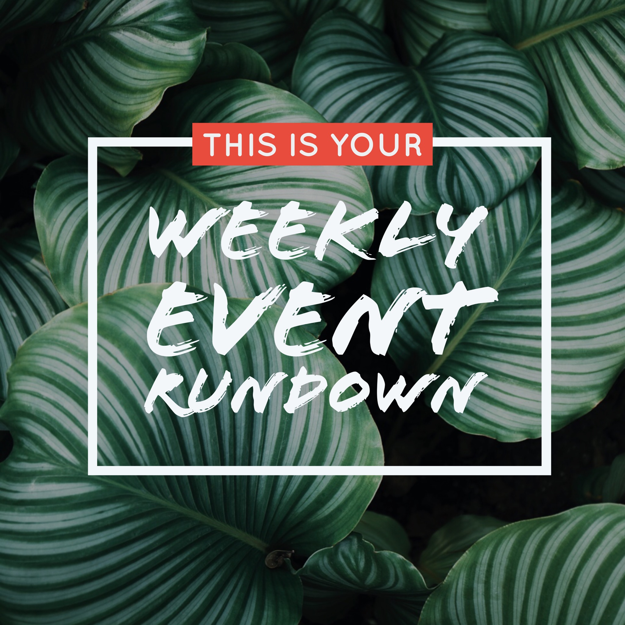 Weekly rundown
