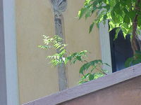 564f0fce-dde8-db2e-bd8c-c28f6af8b778-thumb.jpg