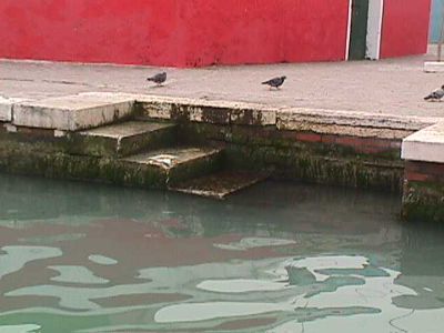 632d75d7-c9e5-1c40-2fa4-bae3c38942a7-small.jpg
