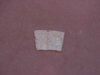 7b032b83-5355-f256-03d5-be9cb6cd4513-thumb.jpg