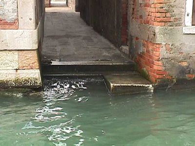 8d48b9ee-ff11-d677-adb0-49a3e881ed0b-small.jpg