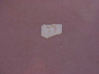 95b8723b-8f1a-a3a5-8471-b68a2d3fc51a-thumb.jpg
