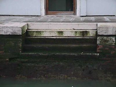 aa433173-d738-6202-1e05-f63d807e48e5-small.jpg