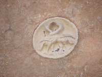 d4cc6bc5-d362-f1be-ddf6-96685dc4f712-thumb.jpg