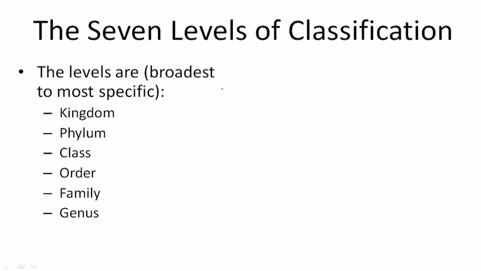 How do we Classify Living Things? Example 1 ( Video ) Biology CK