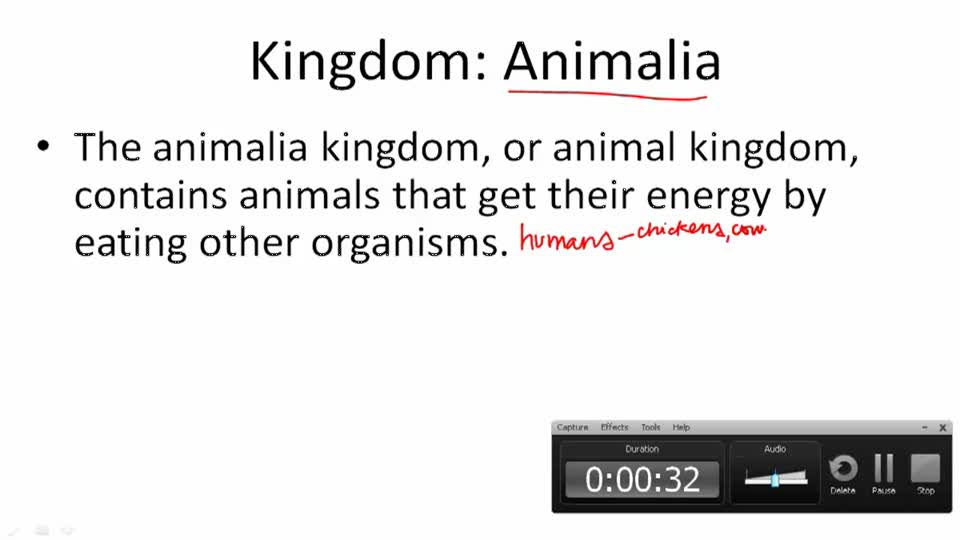How do we Classify Living Things? Example 2 ( Video ) Biology CK