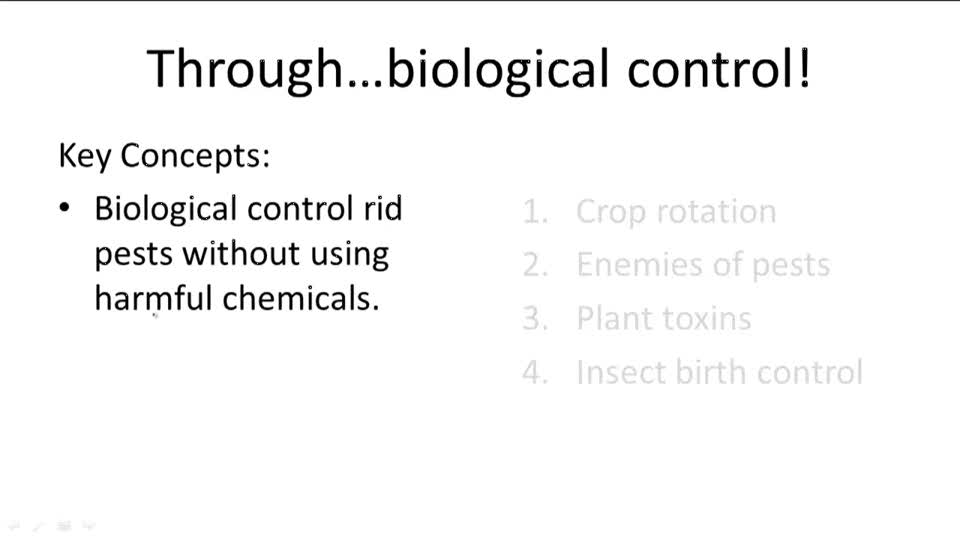 Human Impact - Example 4 ( Video ) | Biology | CK-12 Foundation
