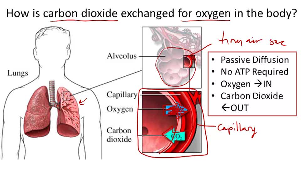 構造の英語 visual data 3